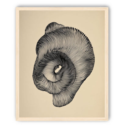 A hollow within black lines