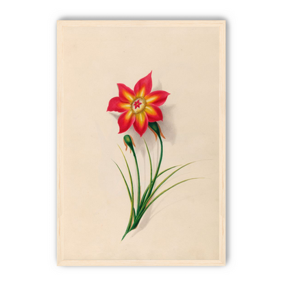 One flower above two buds