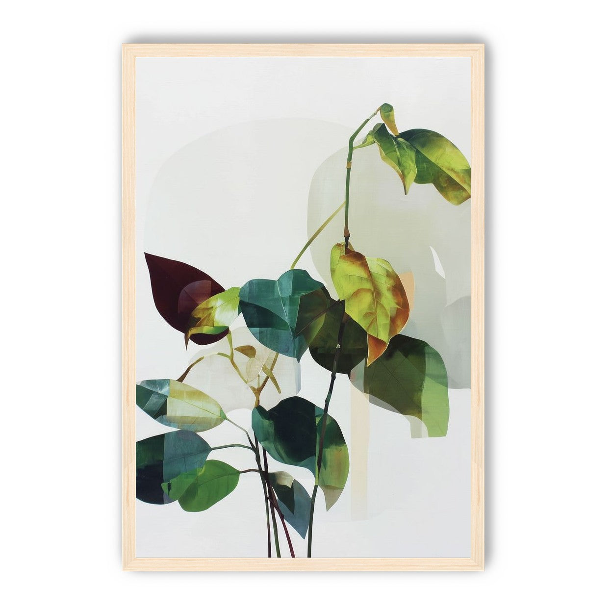Leaves within pale shadows