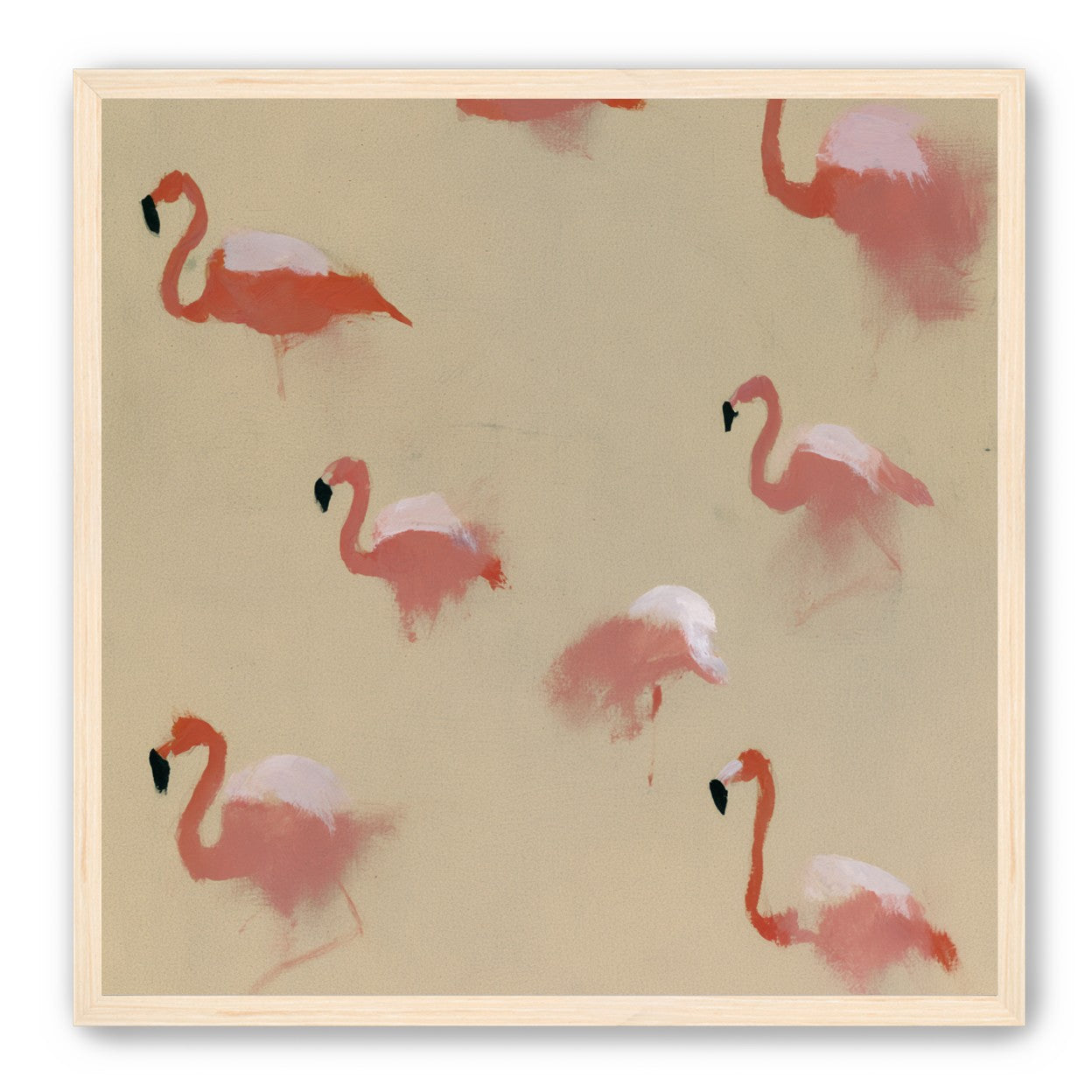 Flamingos in quiet drift
