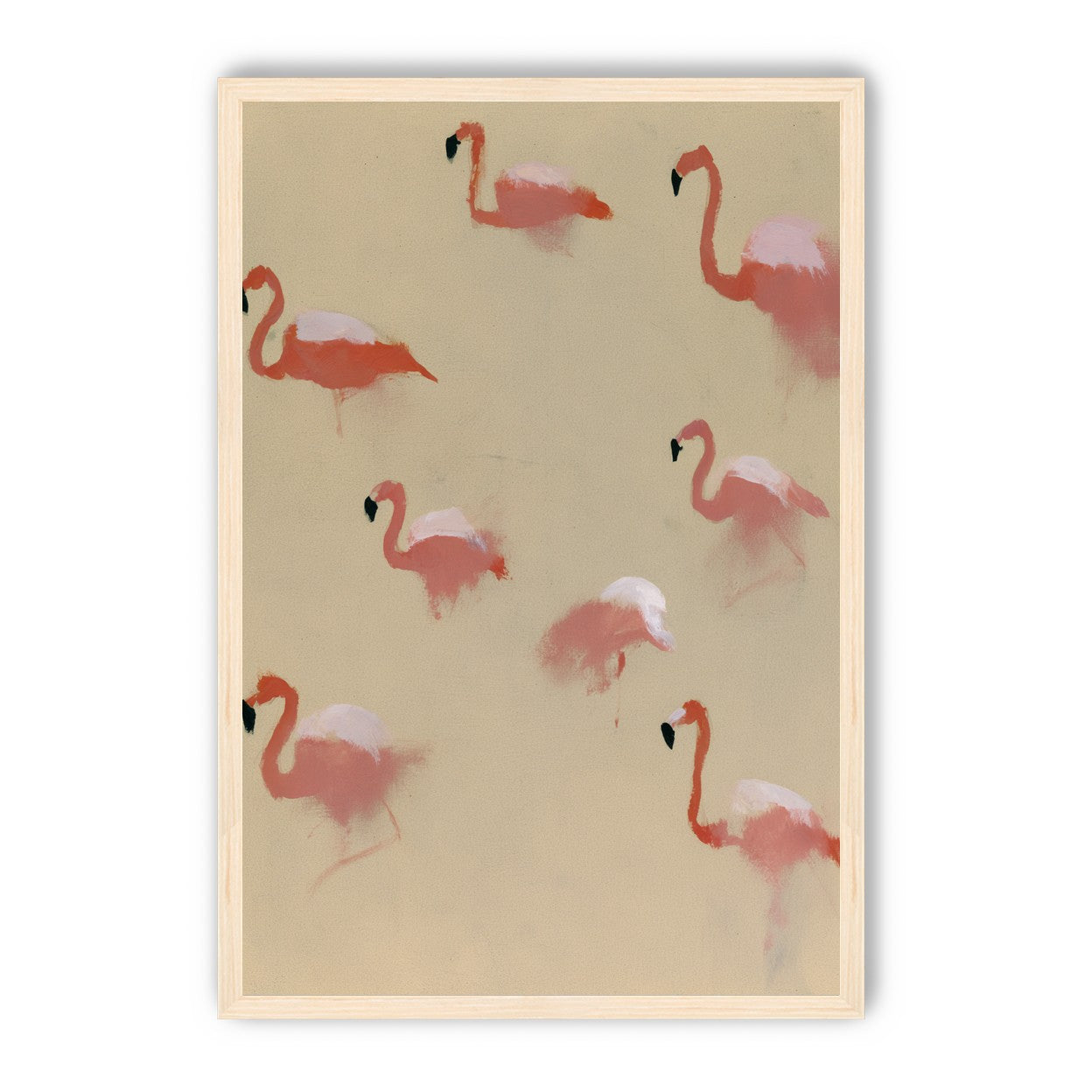 Flamingos in quiet drift