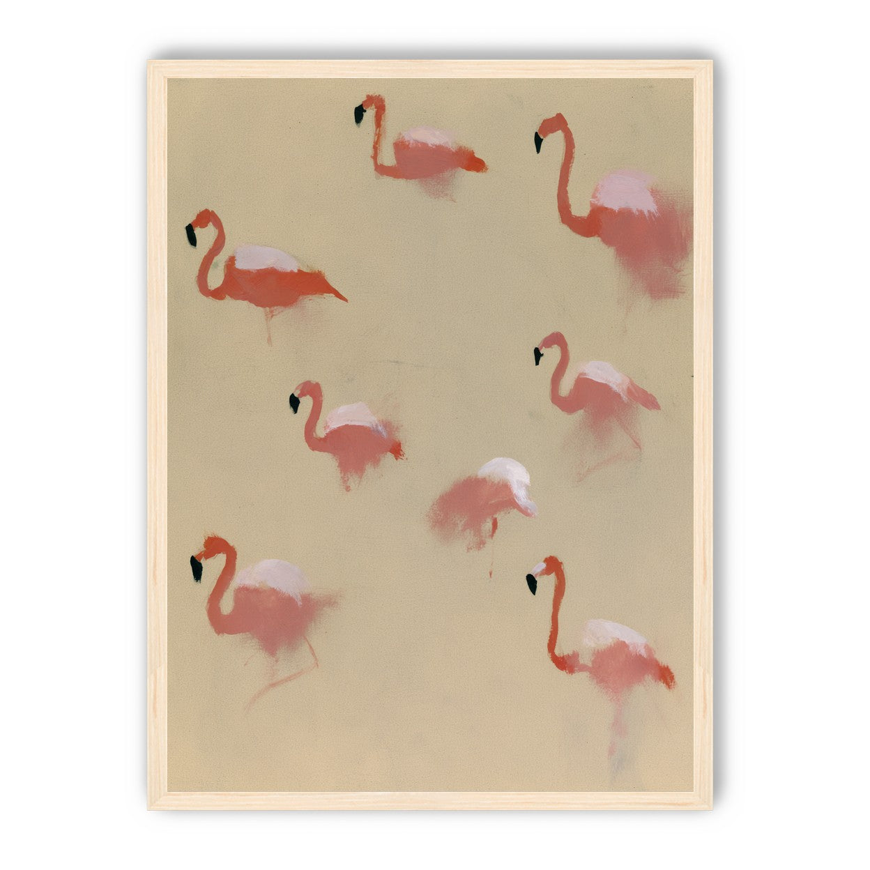 Flamingos in quiet drift
