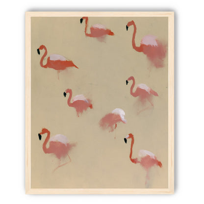 Flamingos in quiet drift