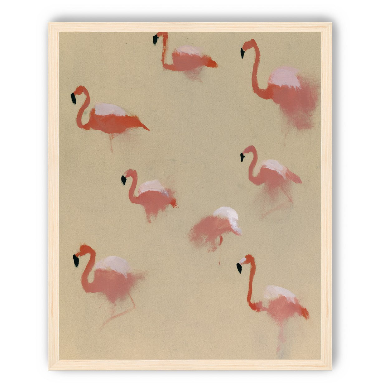 Flamingos in quiet drift