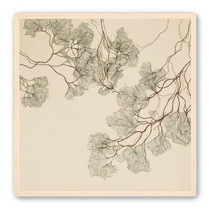 A Field of Drawn Canopies