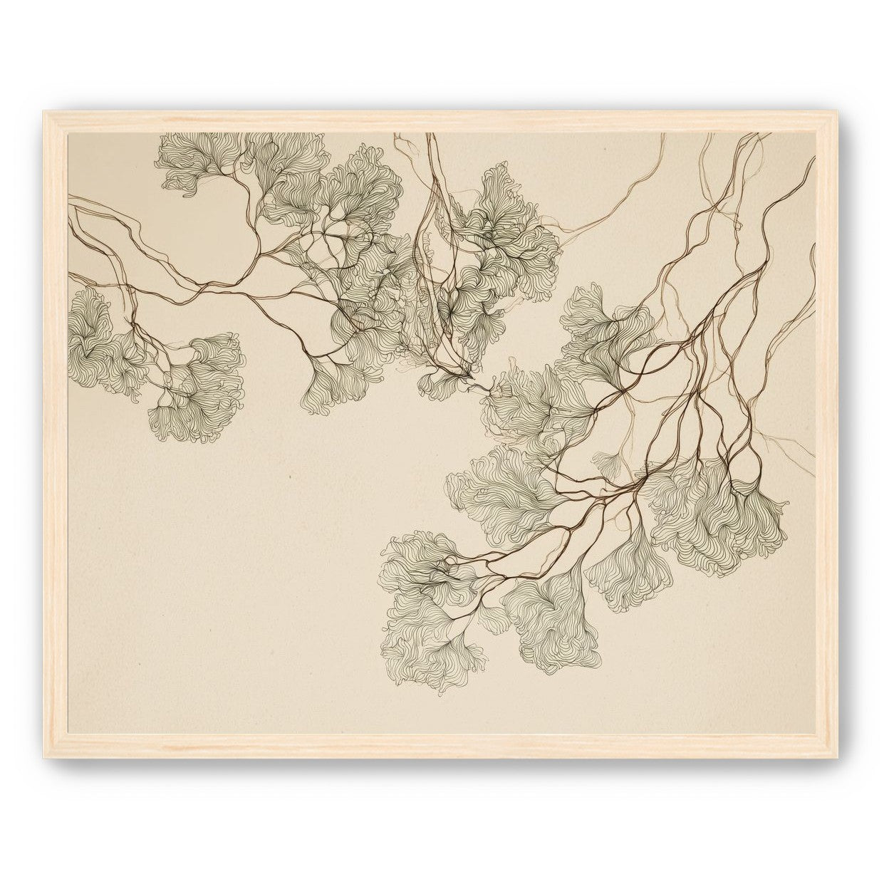 A Field of Drawn Canopies