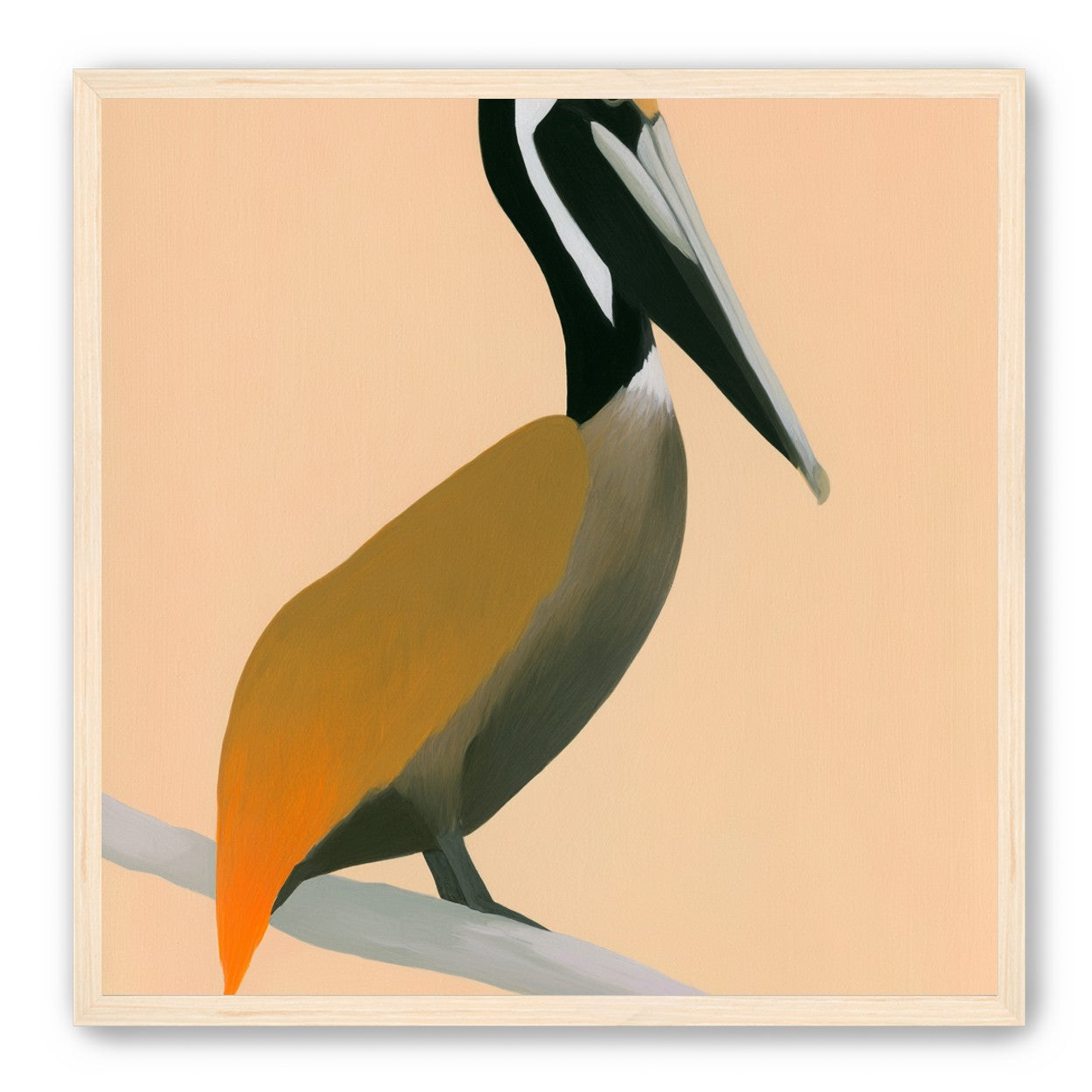 Pelican in peach light