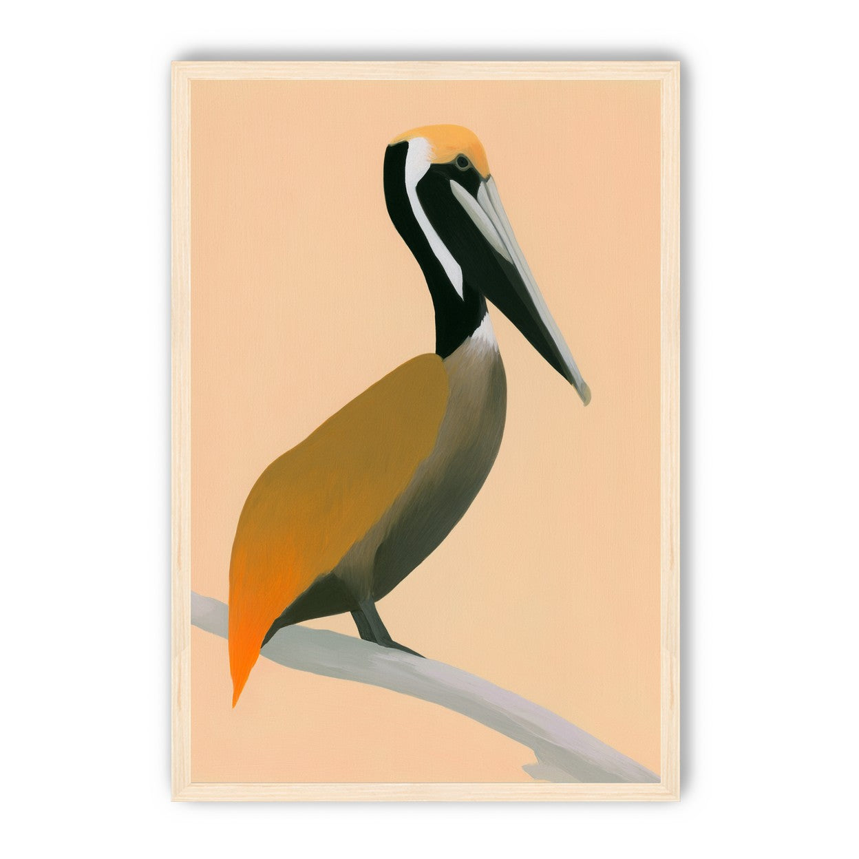Pelican in peach light