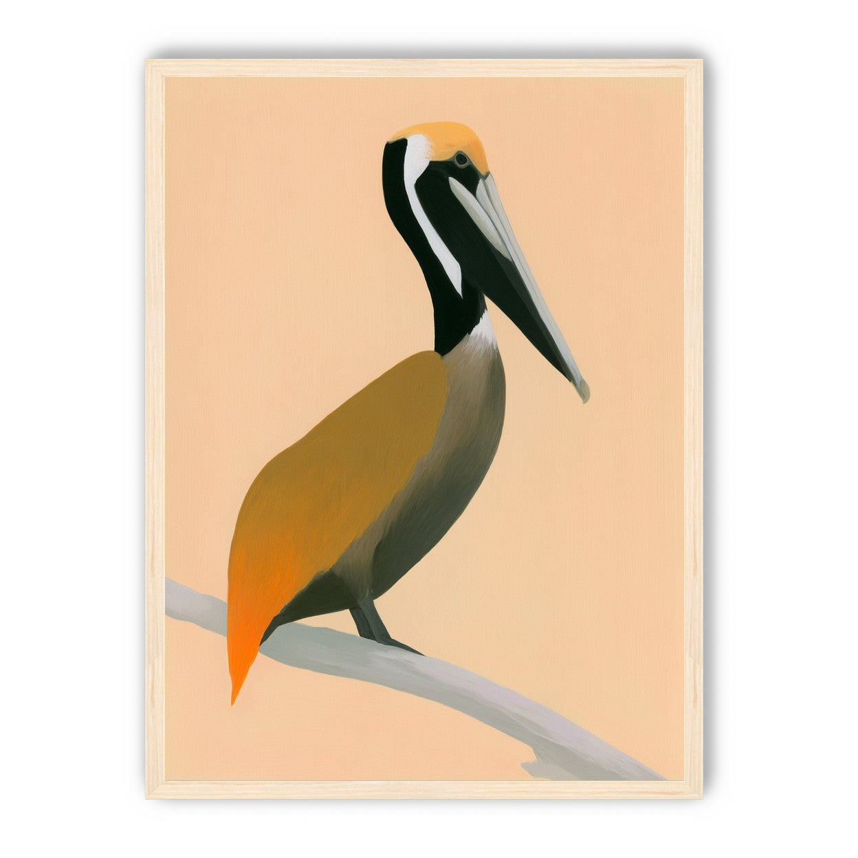 Pelican in peach light
