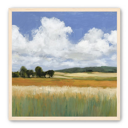 Meadow Under Clouds