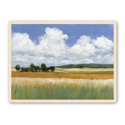 Meadow Under Clouds