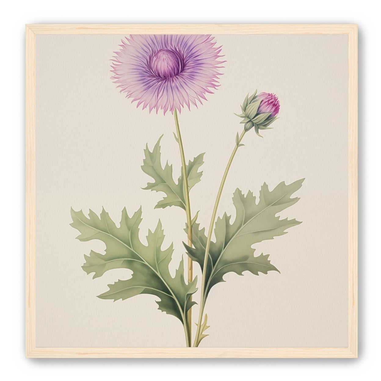 Lavender Radiance