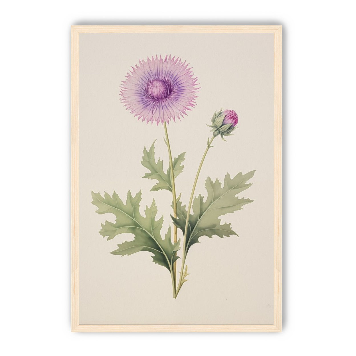 Lavender Radiance