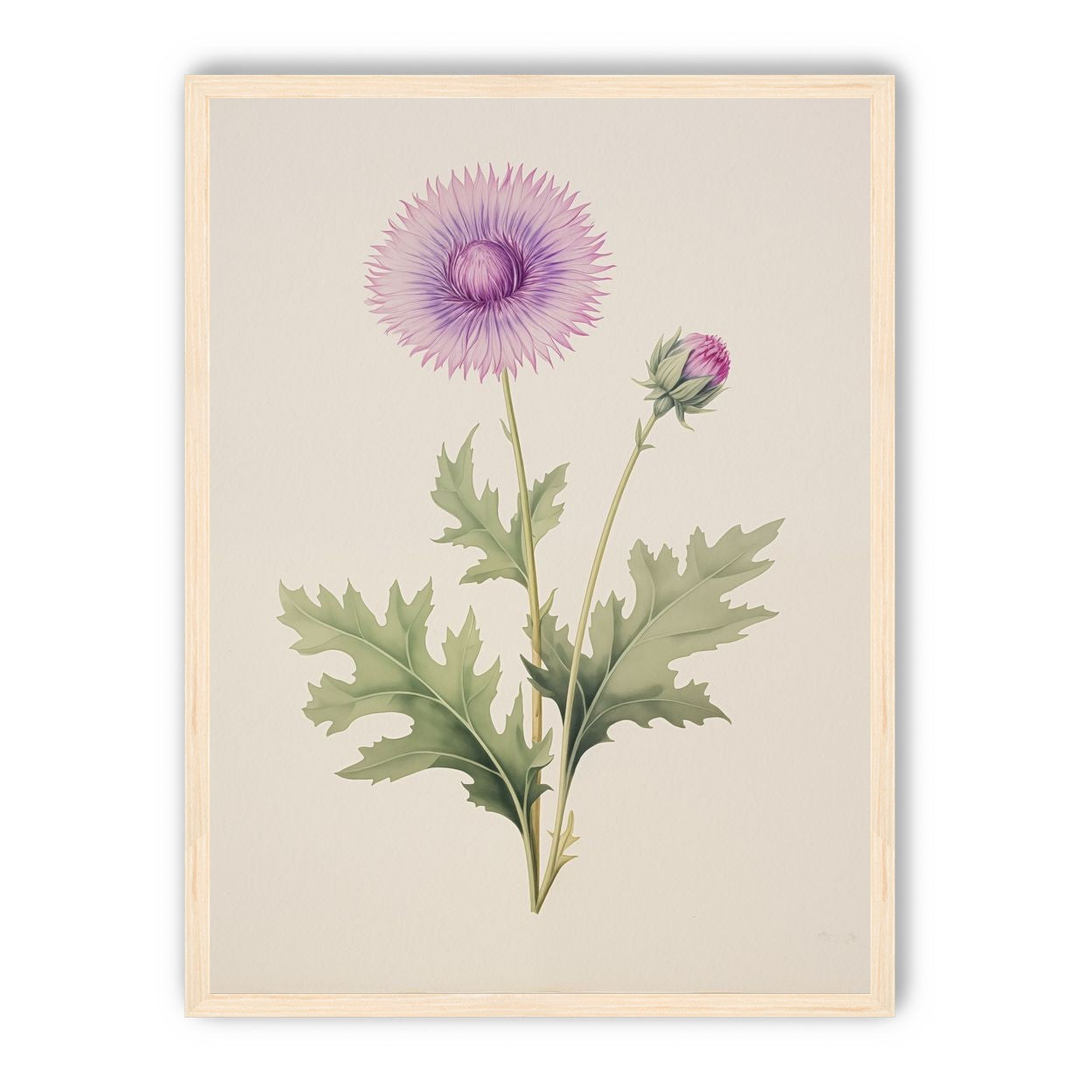 Lavender Radiance