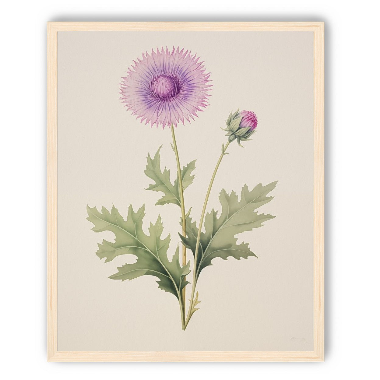Lavender Radiance