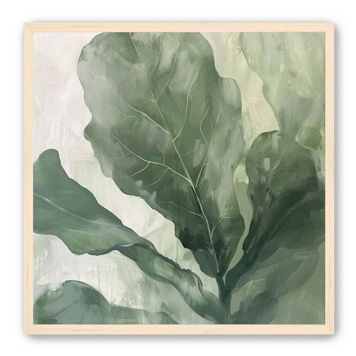 Sage leaves in pale light