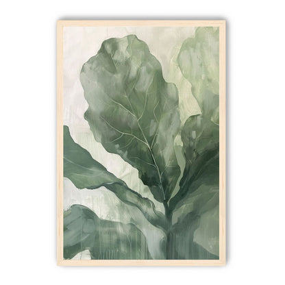 Sage leaves in pale light