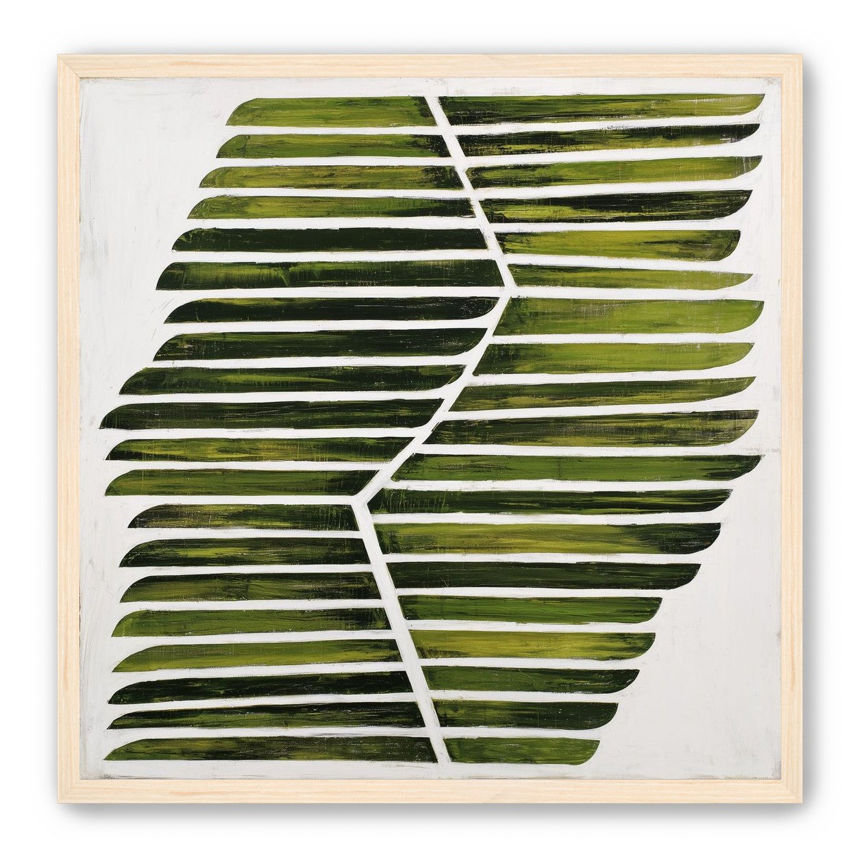 Leaf ribs around a white vein