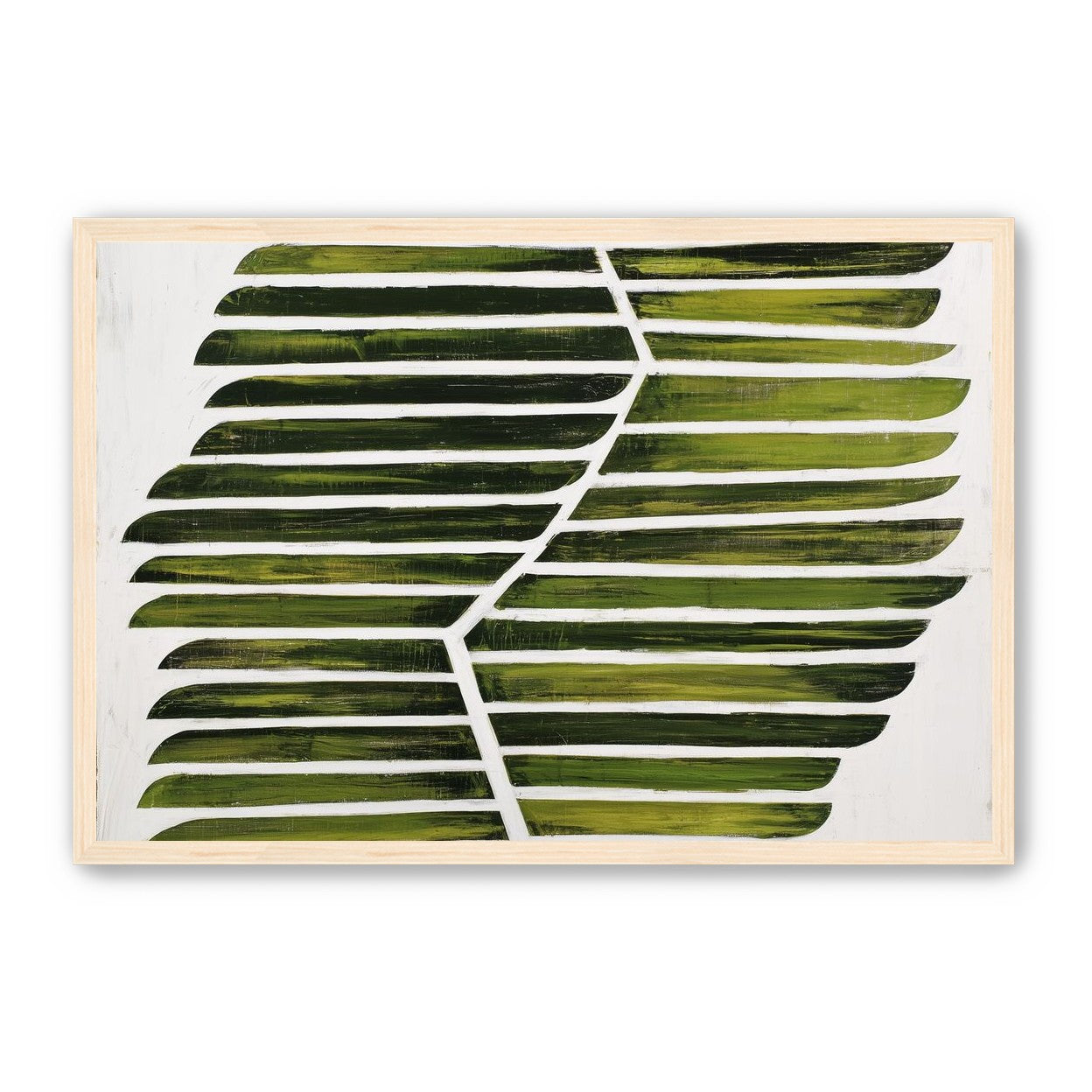 Leaf ribs around a white vein