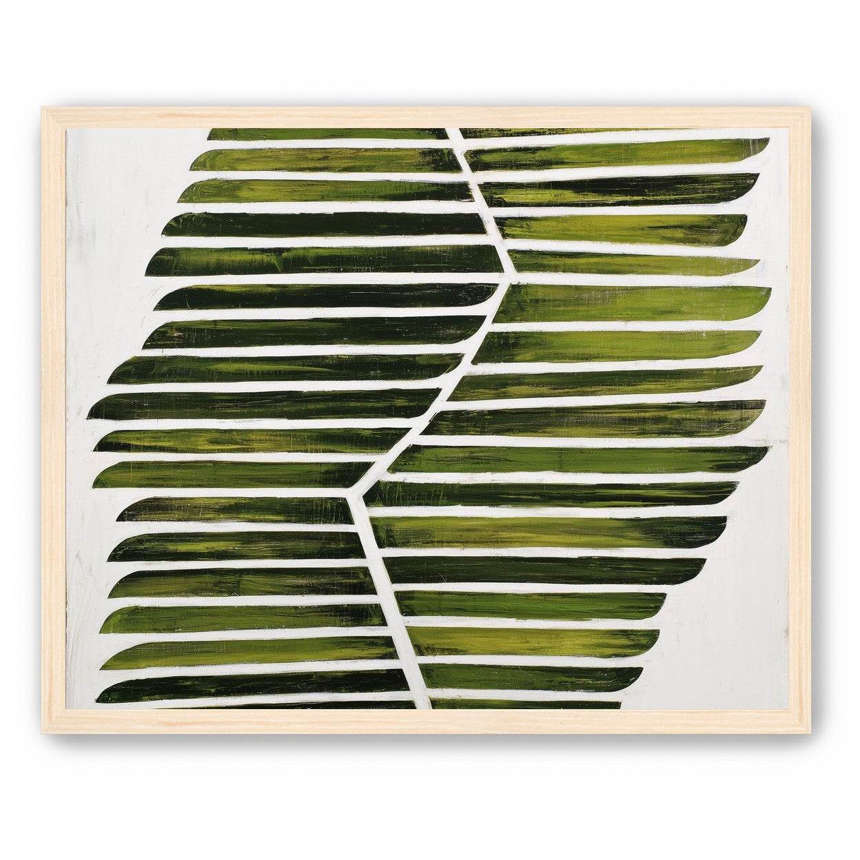 Leaf ribs around a white vein
