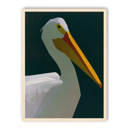 White pelican in deep green