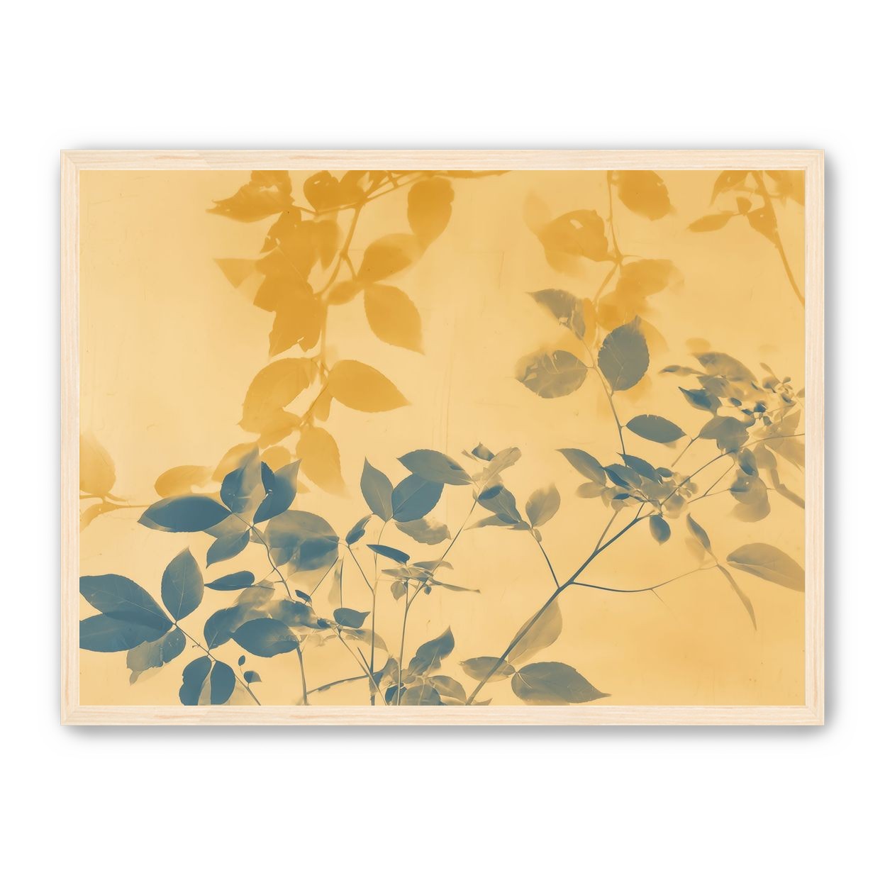 Translucent Film Over Leaves