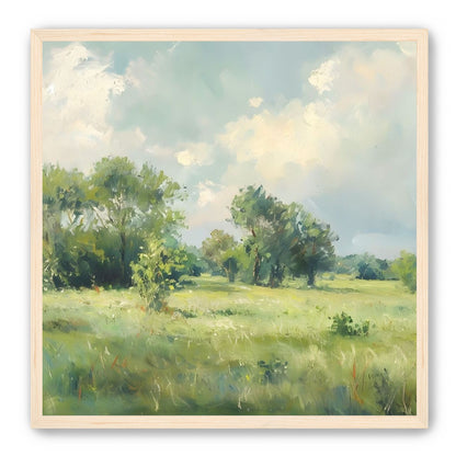 The Gentle Field