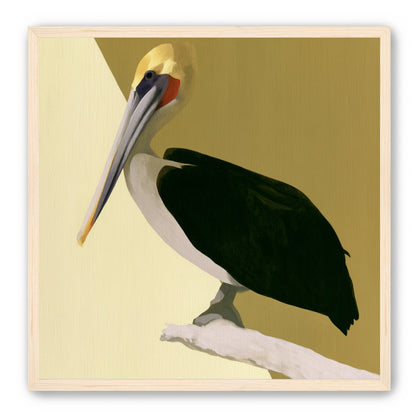 Pelican in quiet balance
