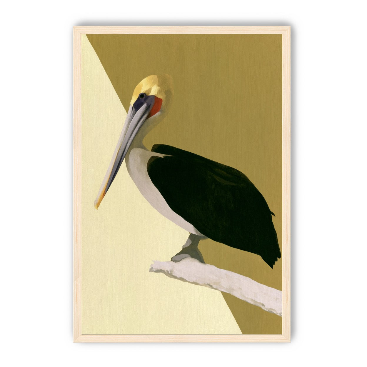 Pelican in quiet balance