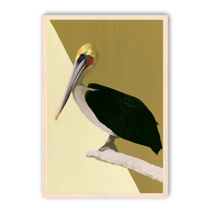 Pelican in quiet balance