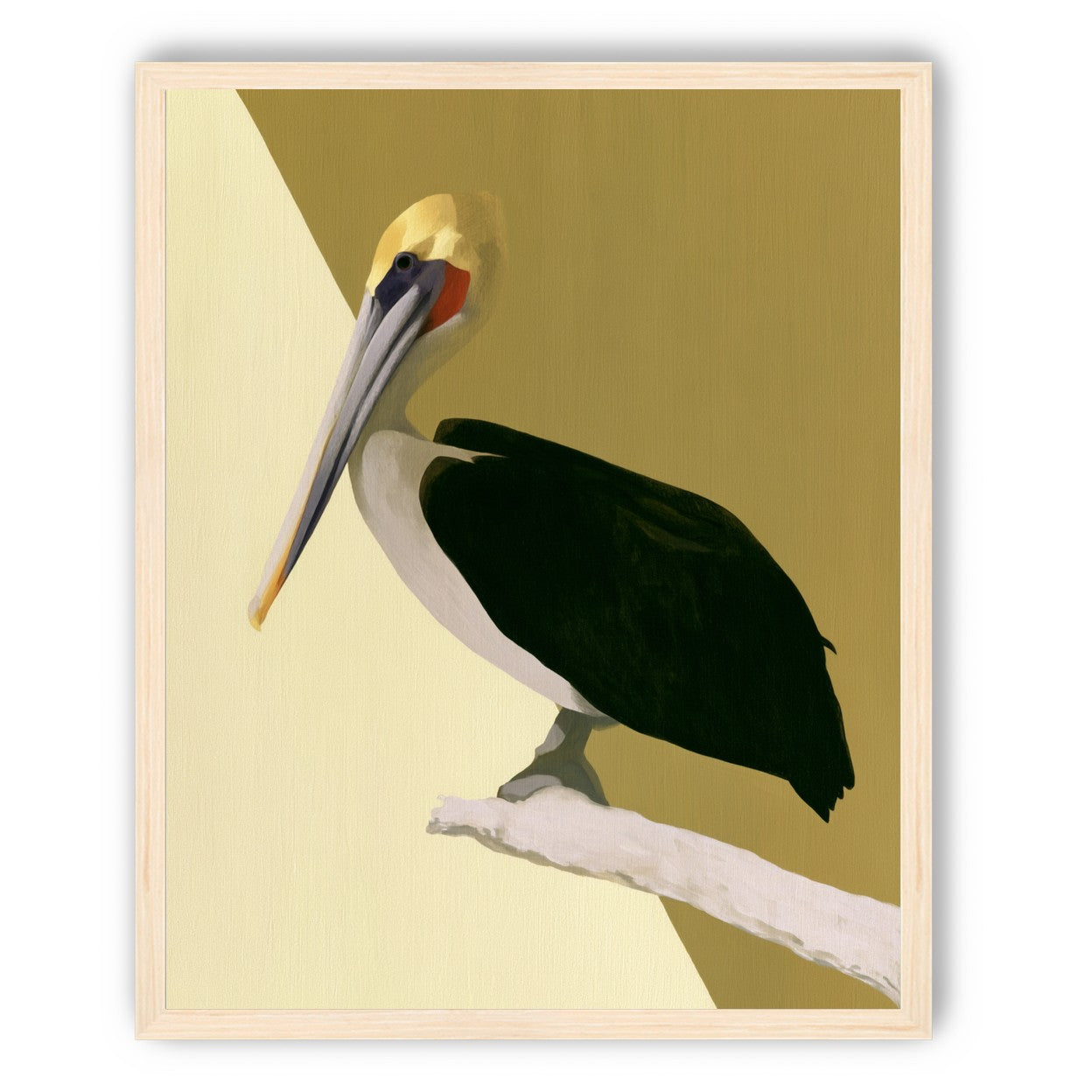 Pelican in quiet balance