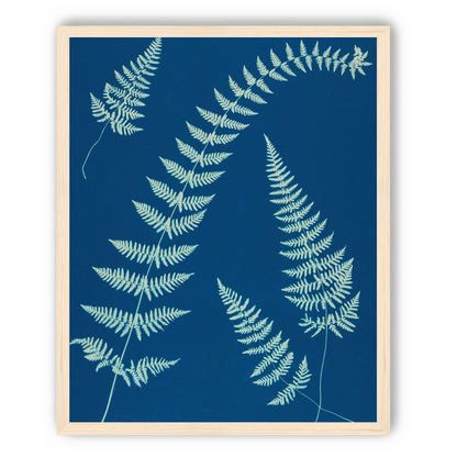 Fern shadows in blue