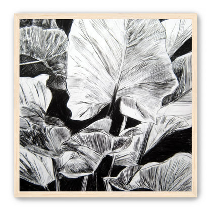 A Cluster of Leaves