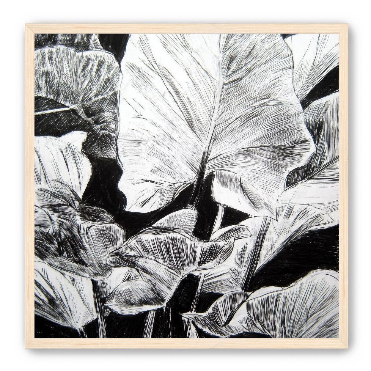 A Cluster of Leaves