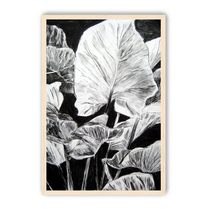 A Cluster of Leaves