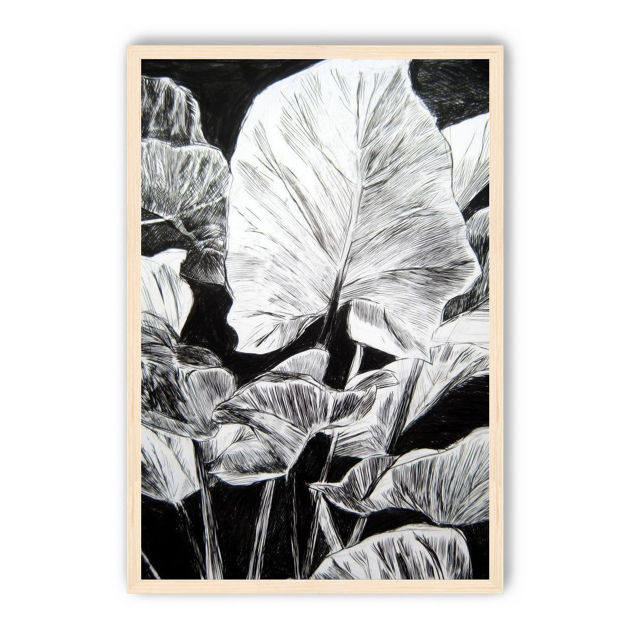 A Cluster of Leaves