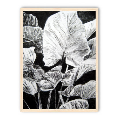 A Cluster of Leaves