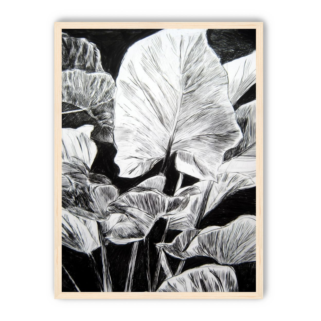 A Cluster of Leaves