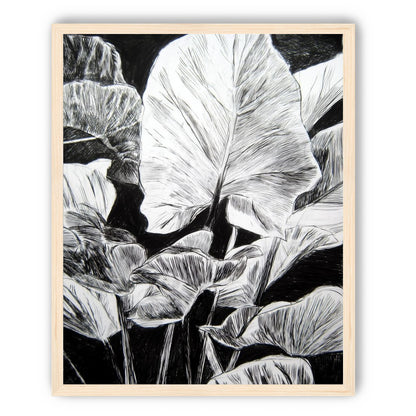 A Cluster of Leaves