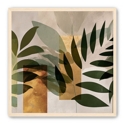 Row of Ferns