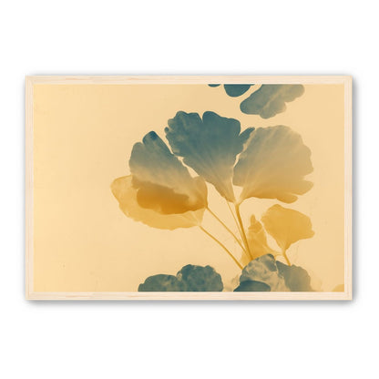 Pressed Matter