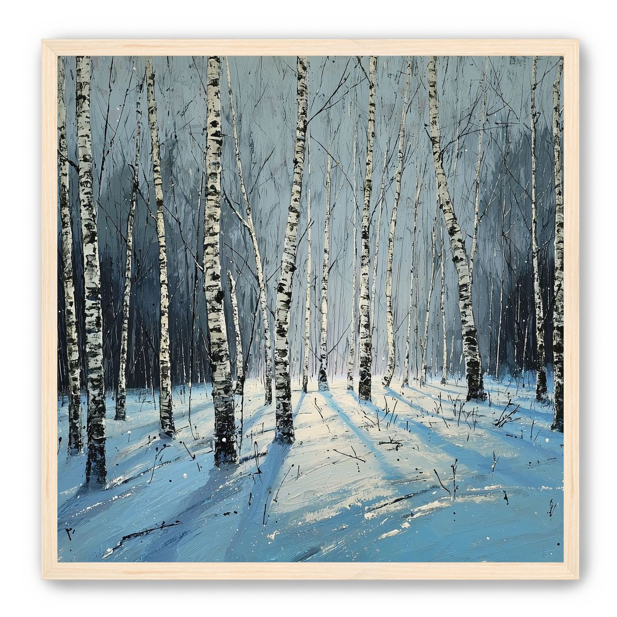 Birch Trees in Winter Light