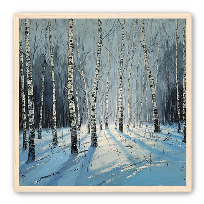 Birch Trees in Winter Light
