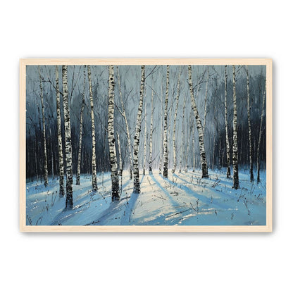 Birch Trees in Winter Light