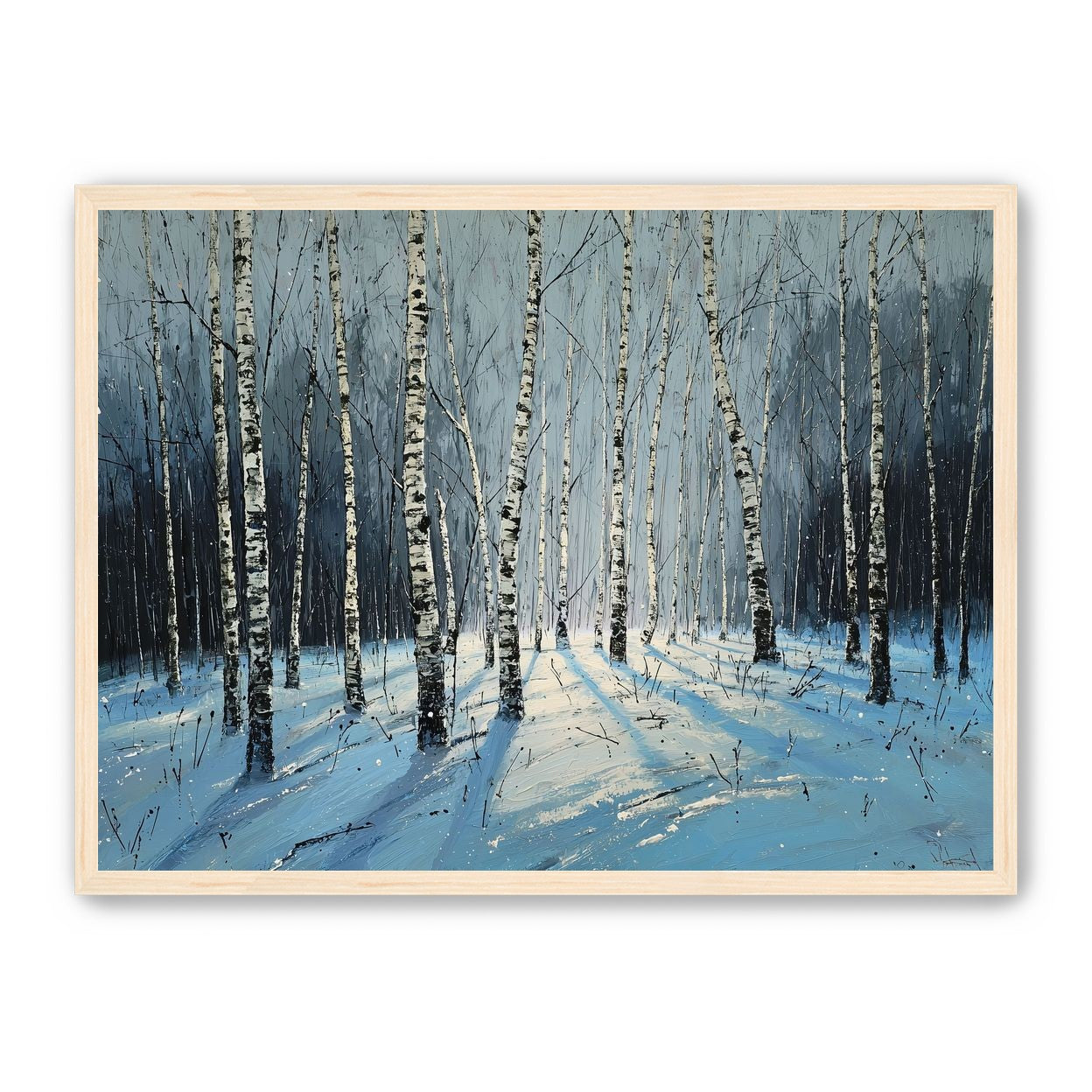 Birch Trees in Winter Light