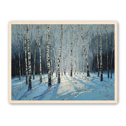 Birch Trees in Winter Light