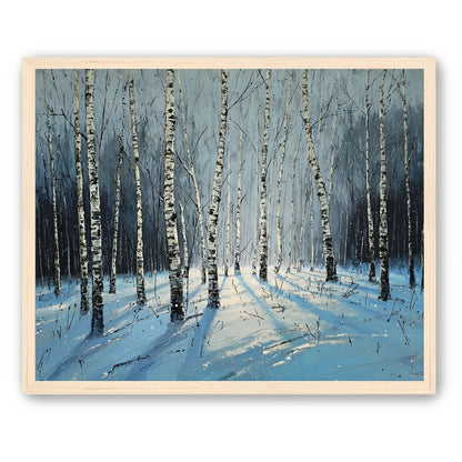 Birch Trees in Winter Light