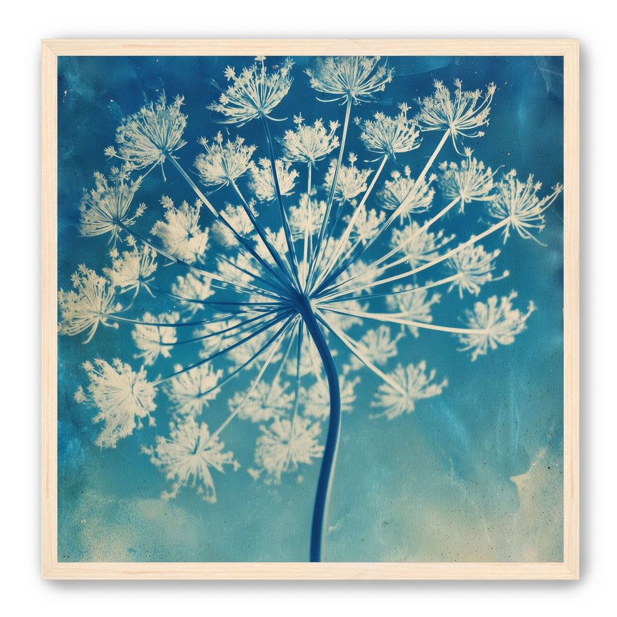 A Starburst Taught to Bloom