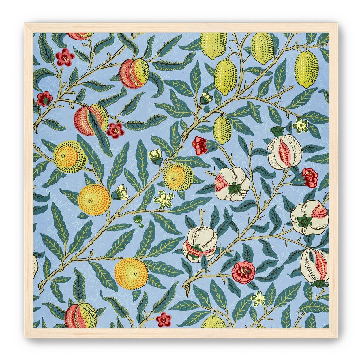 Fruits on the Vine