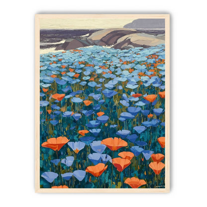 California Poppies